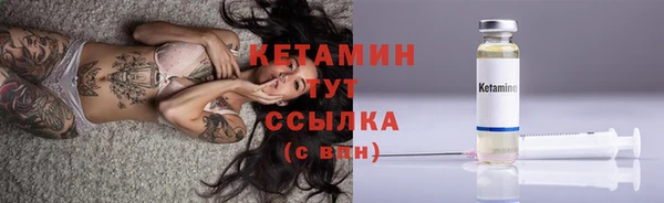 трава Абаза