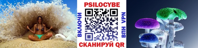 Псилоцибиновые грибы Psilocybe  Иваново 